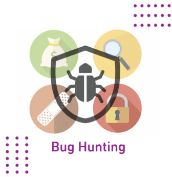 Bug Hunting اصطياد الثغرات